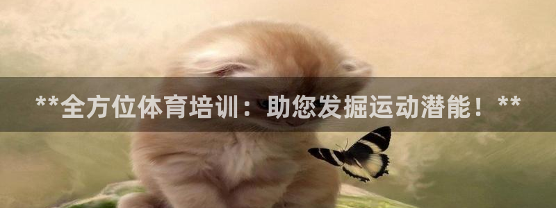 欧陆娱乐突然登录不了了：**全方位体育培训：助您发掘运动潜能