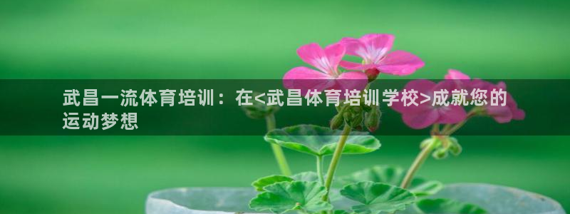 欧陆软件官网：武昌一流体育培训：在<武昌体育培训学校