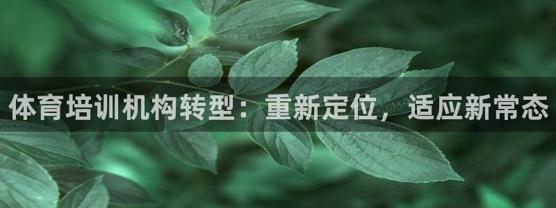 欧陆娱乐有限公司：体育培训机构转型：重新定位，适应新常态