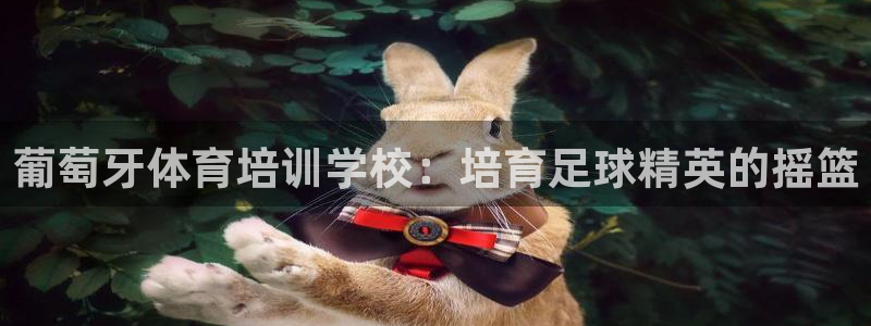 欧陆娱乐能提现嘛现在：葡萄牙体育培训学校：培育足球精英的摇篮