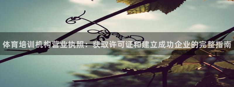 欧陆娱乐计划app官方正版安装下载：体育培训机构营业执照：获