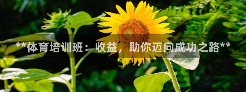 欧陆娱乐线路测速：**体育培训班：收益，助你迈向成功
