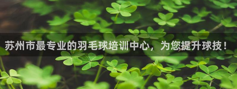 欧陆娱乐是正规平台吗安全吗：苏州市最专业的羽毛球培训