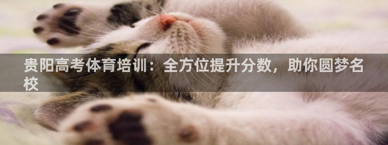 欧陆娱乐代理 贴吧怎么样：贵阳高考体育培训：全方位提升分数，