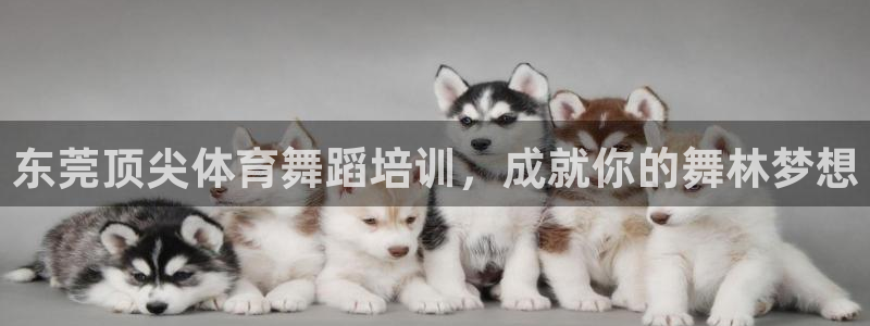 欧陆娱乐累计盈利多少就会被劝退呢：东莞顶尖体育舞蹈培训，成就