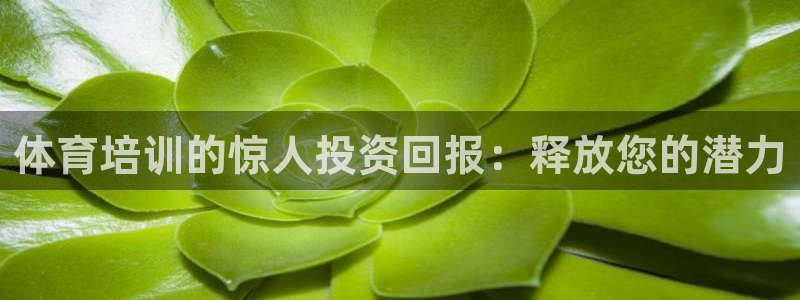 欧陆娱乐能不能玩手游：体育培训的惊人投资回报：释放您