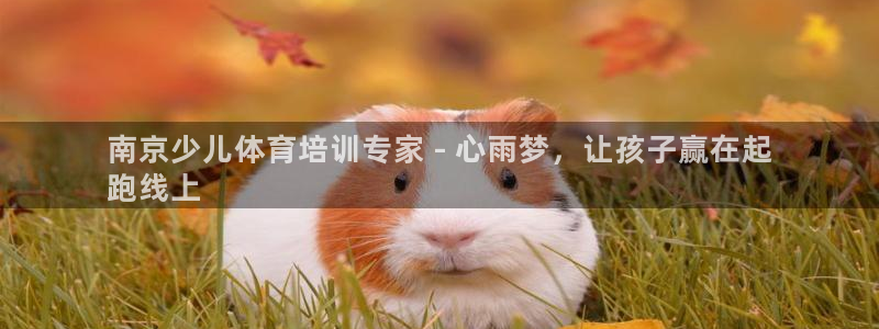 欧陆娱乐注册代理多少钱一年：南京少儿体育培训专家 -