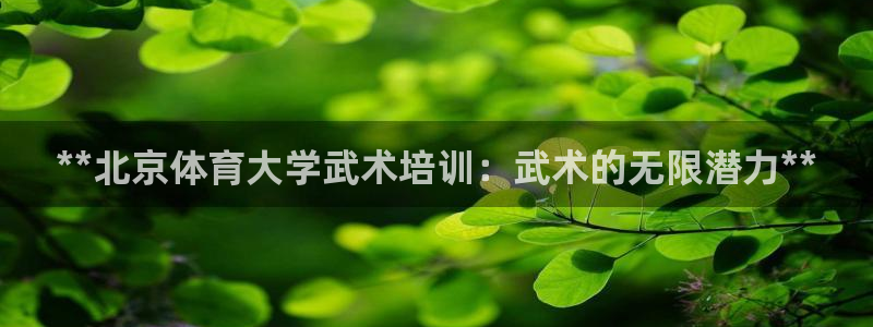 欧陆娱乐能不能玩手游：**北京体育大学武术培训：武术