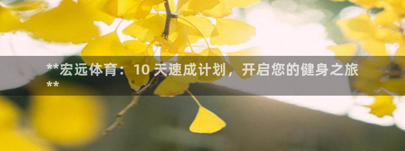 欧陆娱乐能赚钱吗知乎：**宏远体育：10 天速成计划