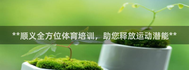 欧陆娱乐出款：**顺义全方位体育培训，助您释放运动潜