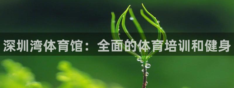 欧陆娱乐官方网站首页：深圳湾体育馆：全面的体育培训和
