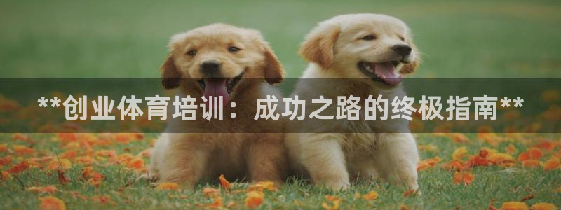 欧陆娱乐官网入口下载：**创业体育培训：成功之路的终极指南*