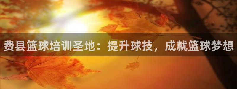 欧陆娱乐计划app官方正版安装下载苹果：费县篮球培训