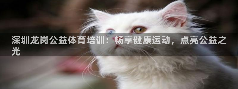 欧陆娱乐登录注册平台官网：深圳龙岗公益体育培训：畅享健康运动