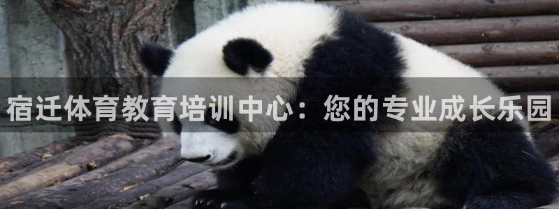 欧陆娱乐平台登陆地址是什么