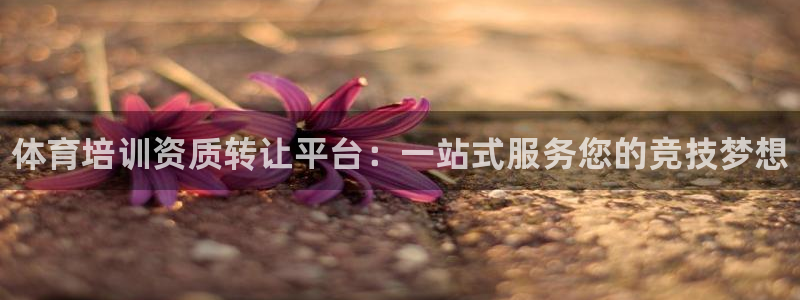 欧陆娱乐脚本下载：体育培训资质转让平台：一站式服务您的竞技梦