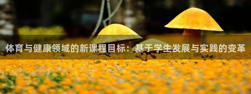 欧陆娱乐的故事有哪些：体育与健康领域的新课程目标：基于学生发