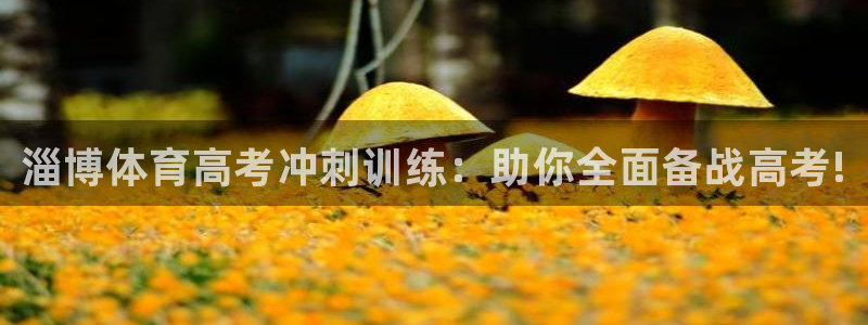 欧陆娱乐总代：淄博体育高考冲刺训练：助你全面备战高考!