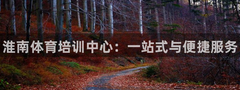 欧陆娱乐是什么：淮南体育培训中心：一站式与便捷服务