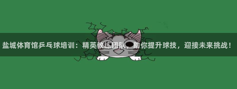 欧陆娱乐计划预测软件：盐城体育馆乒乓球培训：精英教练团队，助