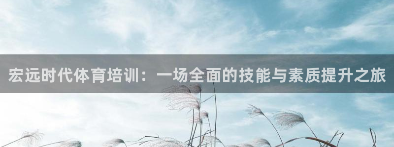 欧陆娱乐登陆官网网址：宏远时代体育培训：一场全面的技