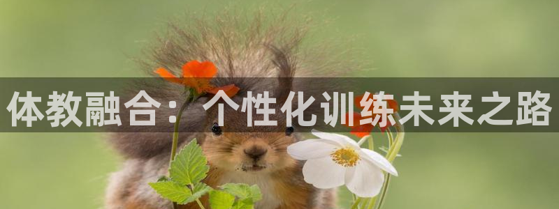 欧陆娱乐注册链接安全吗可靠吗：体教融合：个性化训练未