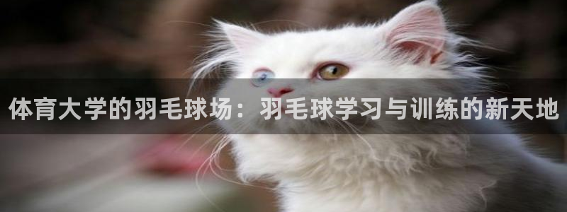 欧陆娱乐太阳：体育大学的羽毛球场：羽毛球学习与训练的