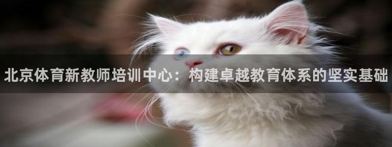 欧陆娱乐公司产品介绍：北京体育新教师培训中心：构建卓